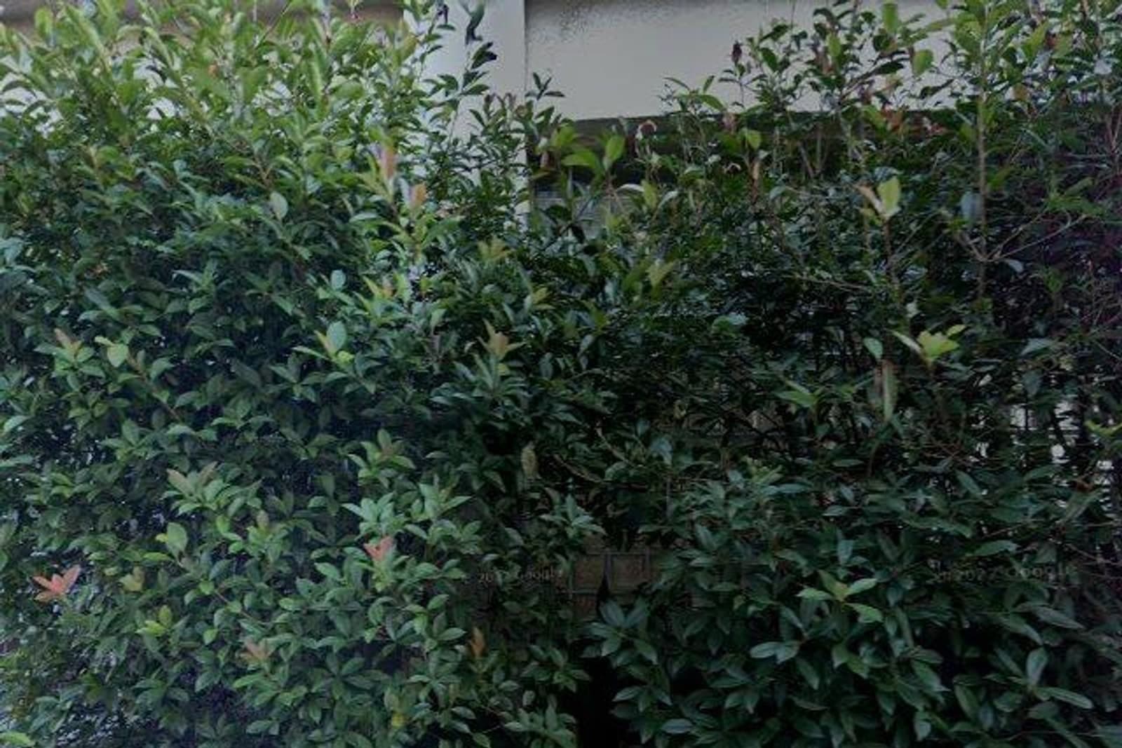 トライアド大崎