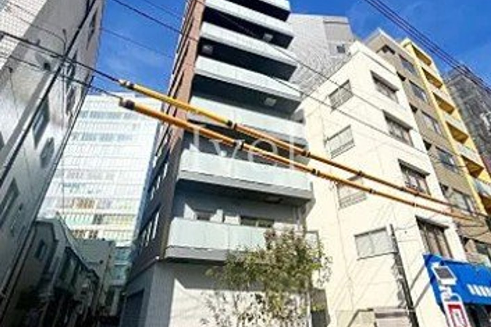 ウィステリアエス上野