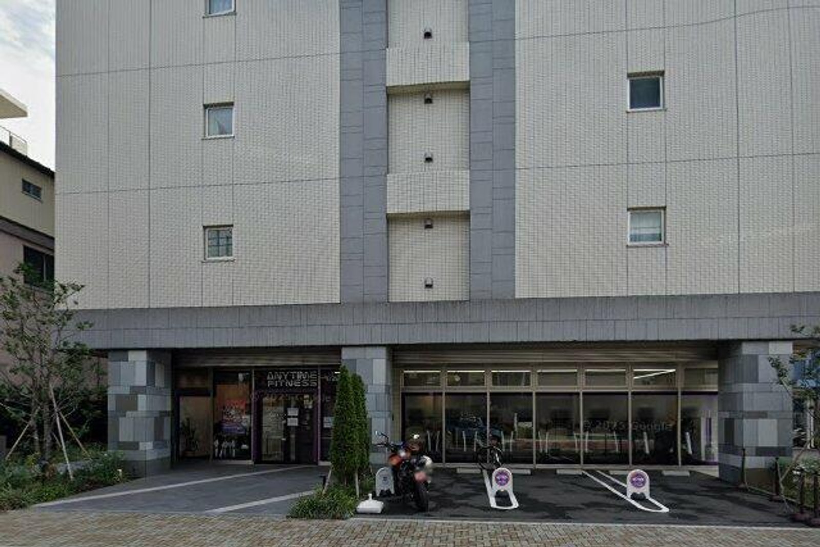フレンシア菊川