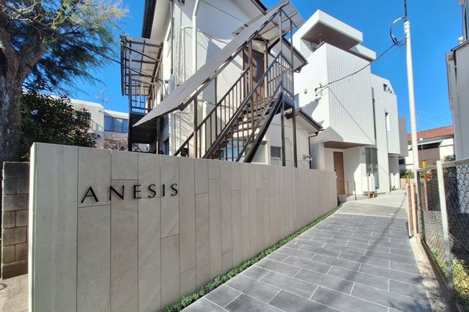 ANESIS