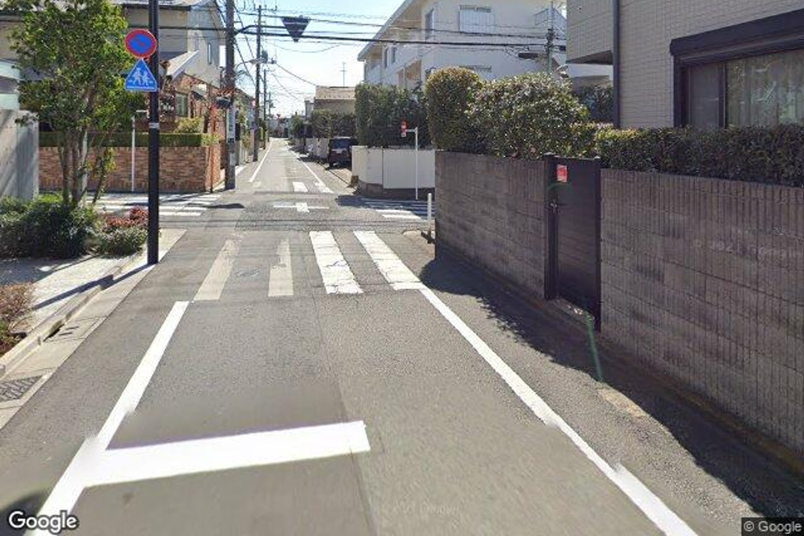 Camellia洗足East