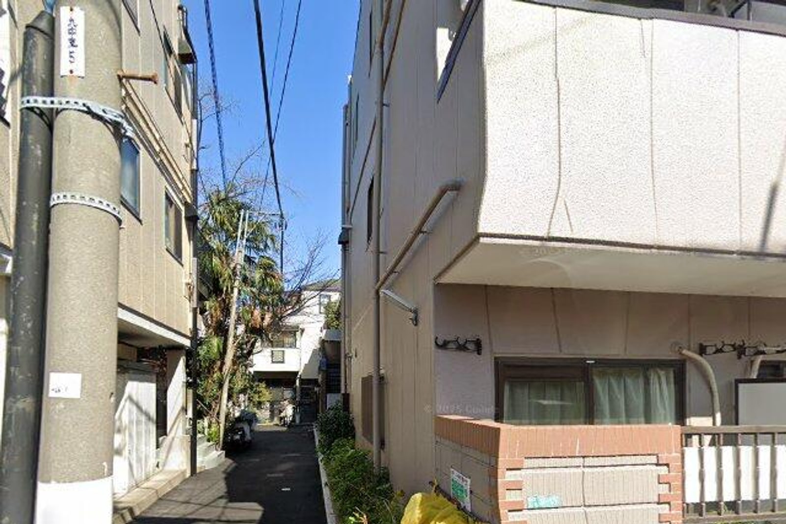 コスモス洗足