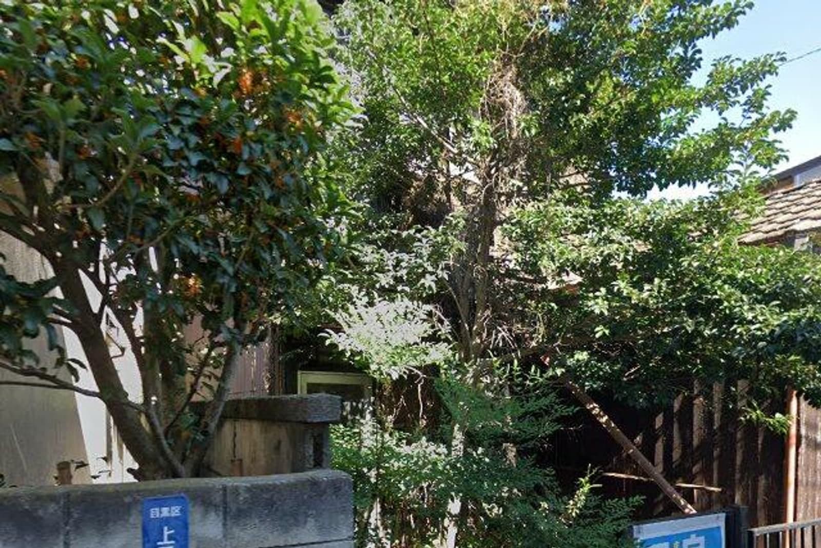 グランパセオ中目黒II