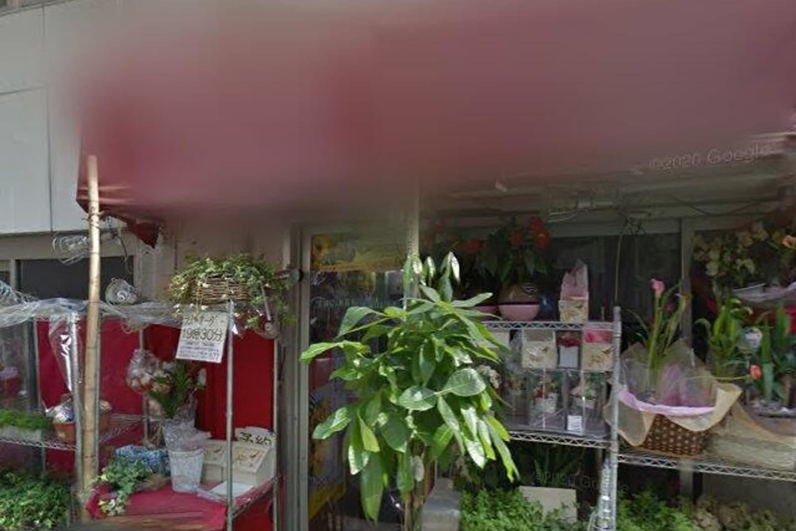 グリシーヌ弥生